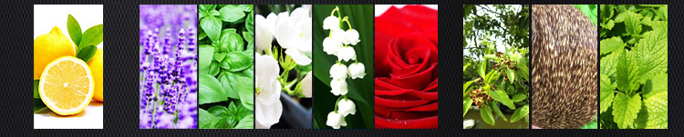 Nước hoa quyến rũ Blue de Diluoya cho phái mạnh chinh phục nàng Nước hoa quyến rũ Blue de Diluoya cho phái mạnh chinh phục nàng